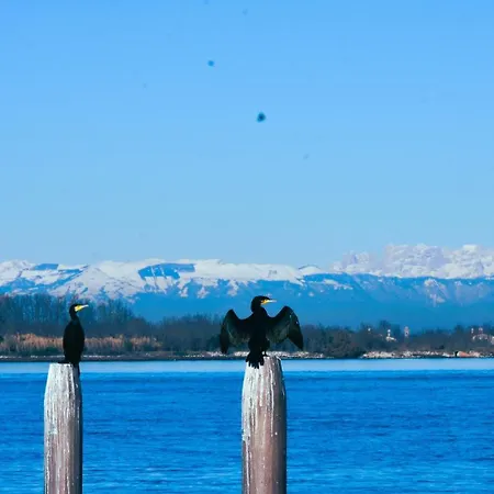 Con Vista A Venezia