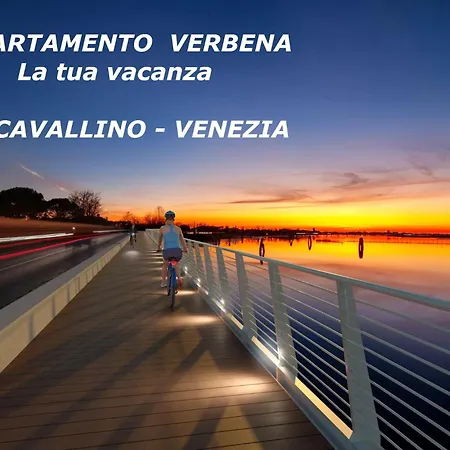 Con Vista A Venezia Apartment *